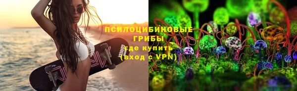 apvp Богданович