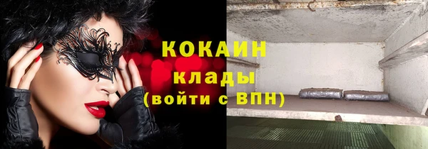 apvp Богданович