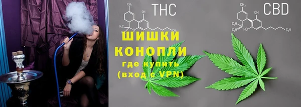 apvp Богданович