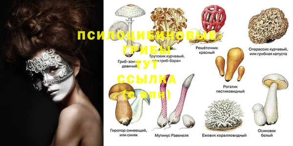 марки nbome Богородицк