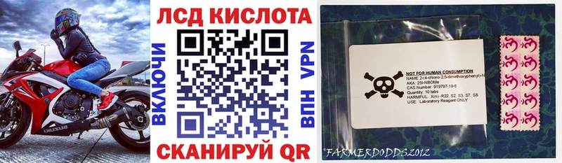 что такое наркотик  Кедровый  Марки NBOMe 1,8мг 